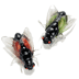 No Image Available